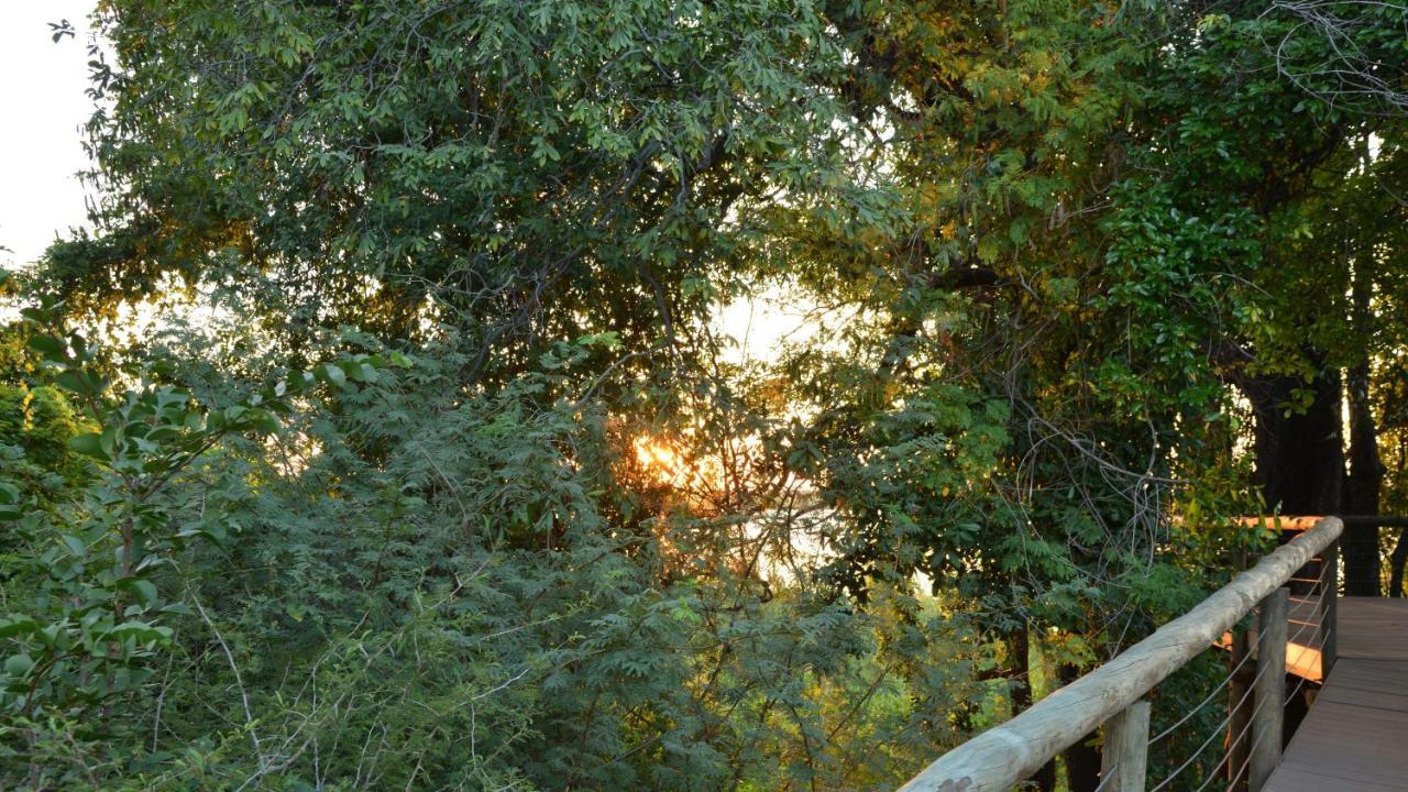 Chobe River Cottages Kasane Εξωτερικό φωτογραφία